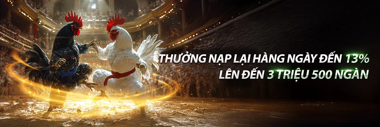 Đá Gà Trực Tiếp acb8 link vào